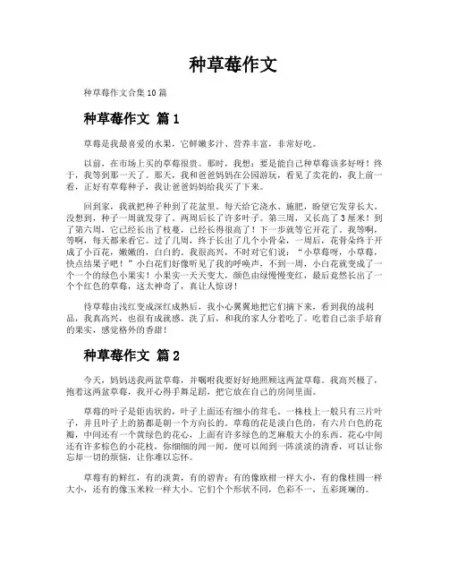 种草莓作文