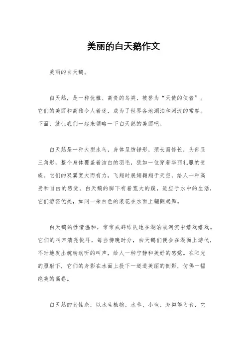 美丽的白天鹅作文