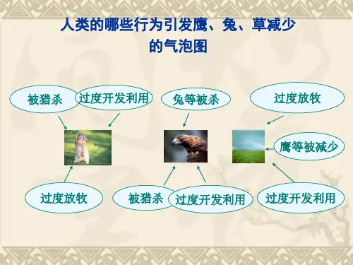 维护生态平衡课件