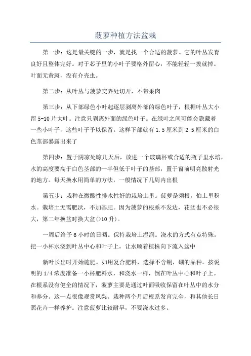 菠萝种植方法盆栽
