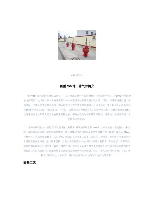 储气井