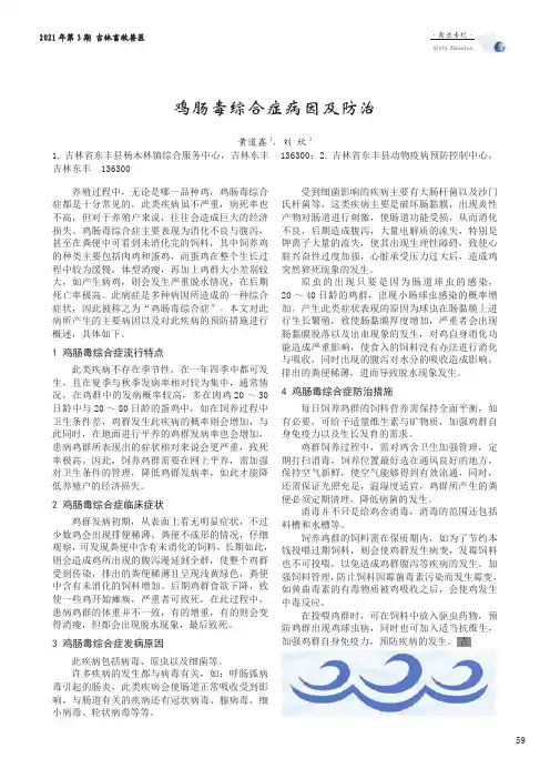 鸡肠毒综合症病因及防治