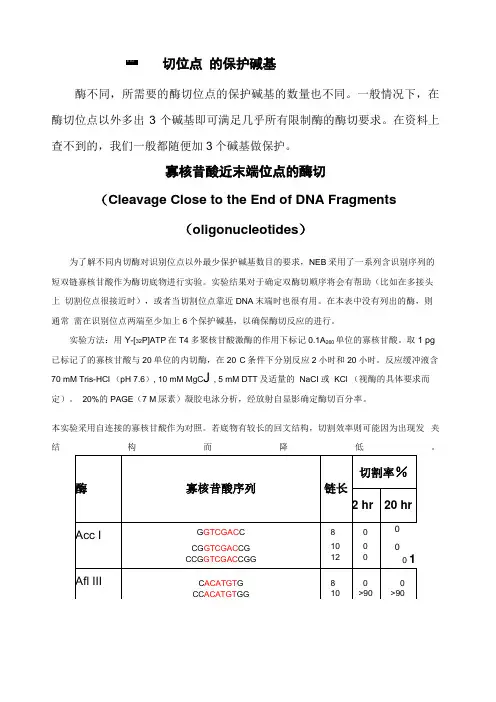 各种酶切位点的保护碱基引物设计必看