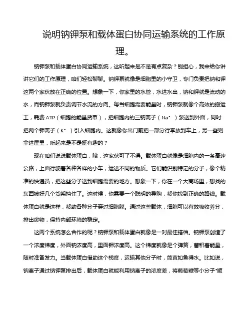 说明钠钾泵和载体蛋白协同运输系统的工作原理。