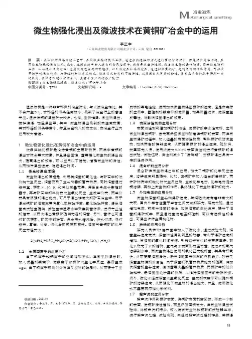 微生物强化浸出及微波技术在黄铜矿冶金中的运用