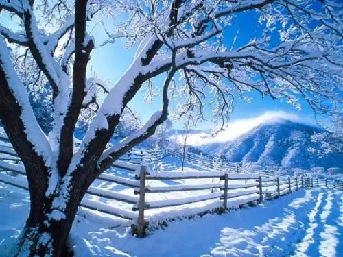 6.鲁迅《雪》ppt课件