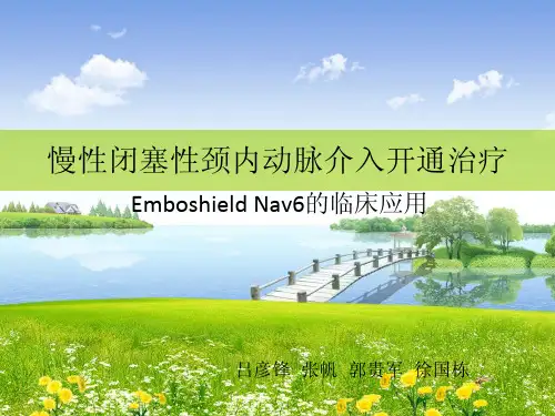 慢性闭塞性颈内动脉介入开通治疗