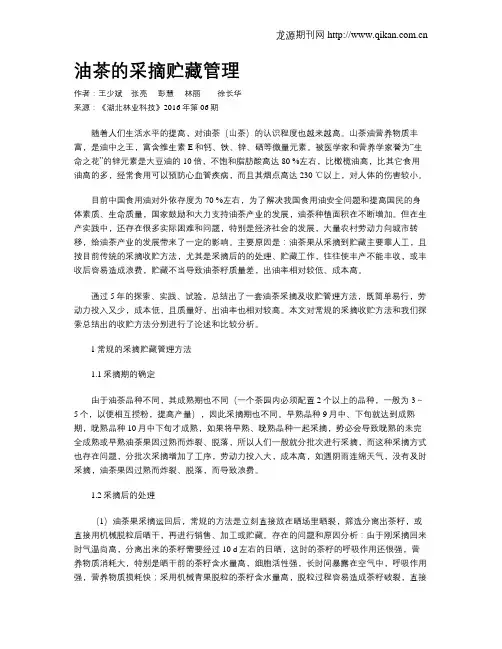 油茶的采摘贮藏管理