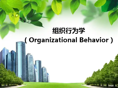 组织行为学教学导论PPT