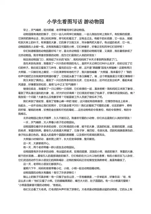 小学生看图写话五篇 游动物园
