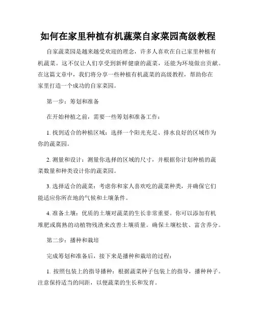 如何在家里种植有机蔬菜自家菜园高级教程