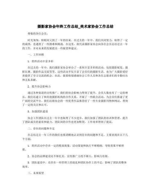 摄影家协会年终工作总结_美术家协会工作总结