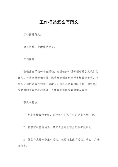 工作描述怎么写范文