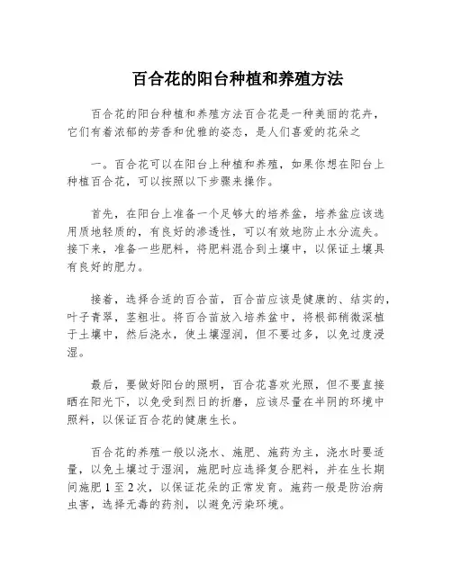 百合花的阳台种植和养殖方法
