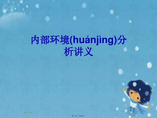 内部环境分析讲义