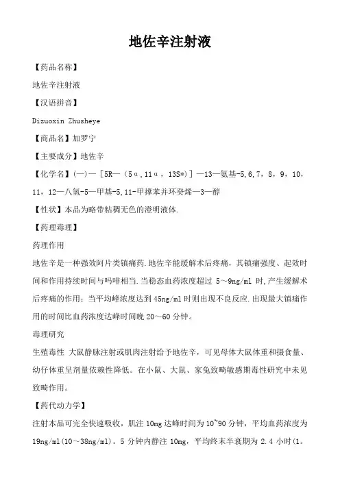 地佐辛说明书---精品模板