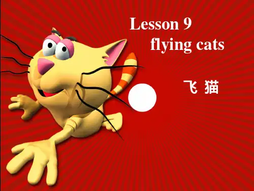 新概念三Lesson9课件(56张)