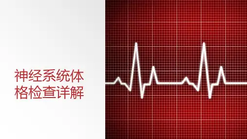 神经系统体格检查详解