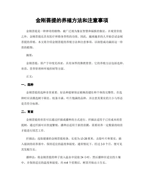 金刚菩提的养殖方法和注意事项