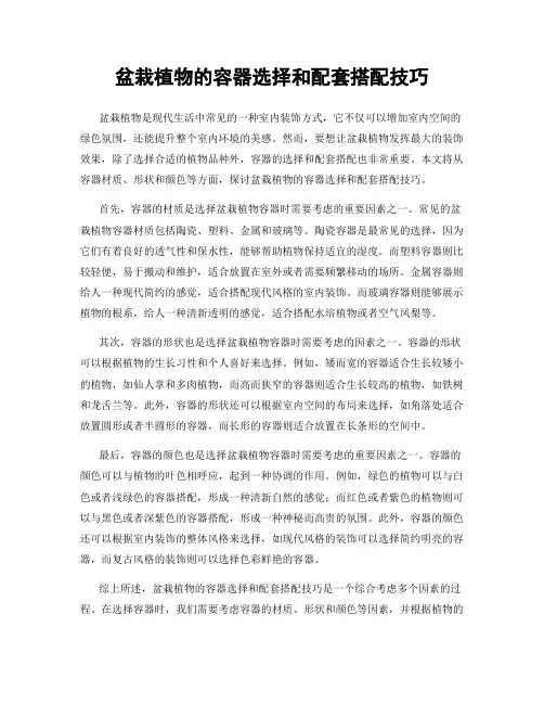 盆栽植物的容器选择和配套搭配技巧