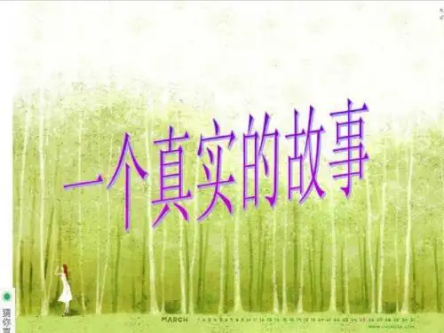 初中音乐课_《一个真实的故事》