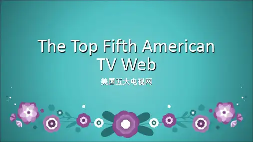 美国五大电视网讲解