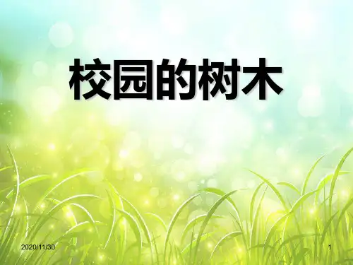 小学三年级上册科学《校园的树木》植物PPT精品课件