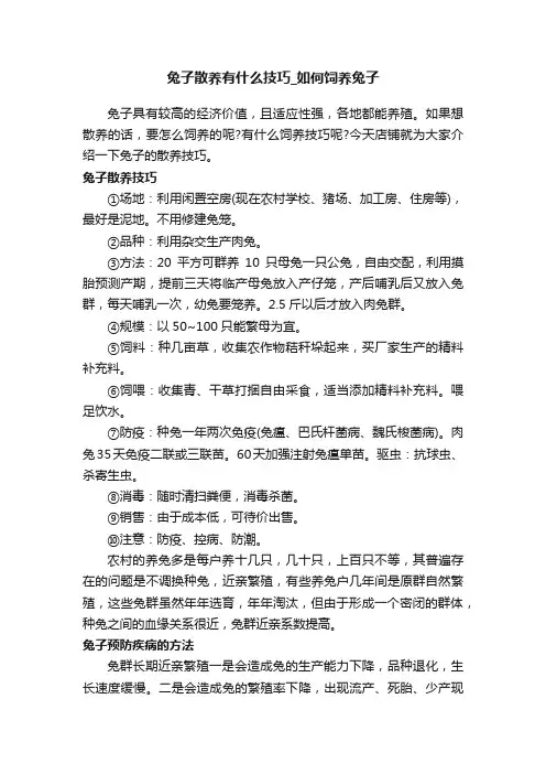 兔子散养有什么技巧_如何饲养兔子