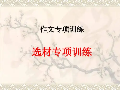 作文专题--选材