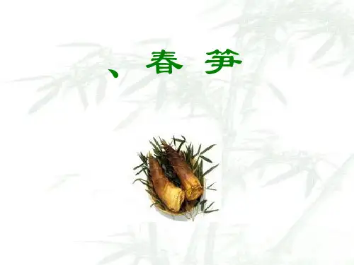 《春笋》PPT课件(上课用)