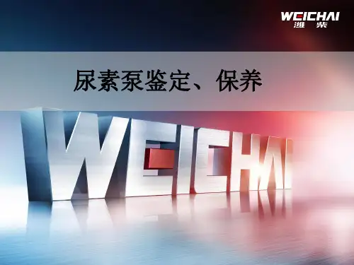 尿素泵鉴定及2016年常见后处理故障案例(1)