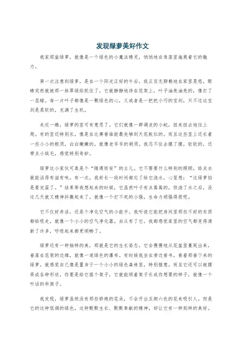 发现绿萝美好作文