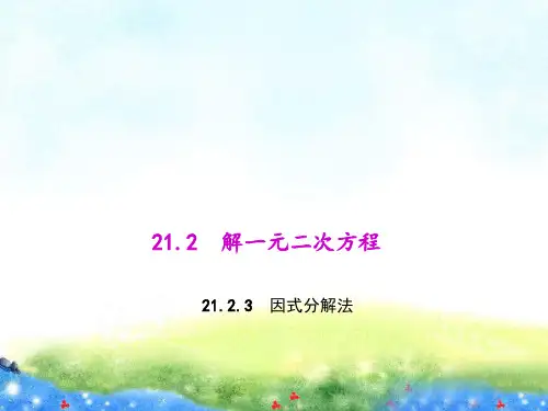 21.2.3 因式分解法 公开课课件