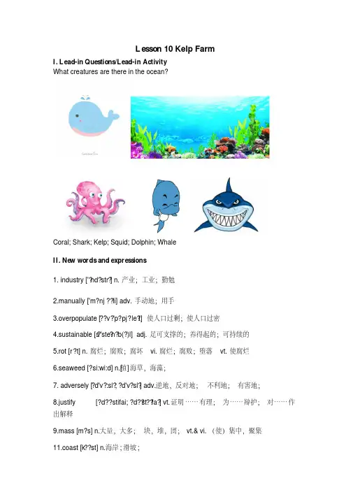 最新鸟瞰中国-ChinafromAbove(上)_10.KelpFarm(讲义)