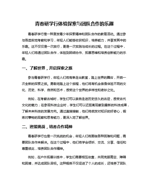 青春研学行体验探索与团队合作的乐趣