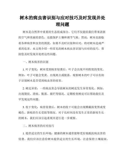 树木的病虫害识别与应对技巧及时发现并处理问题