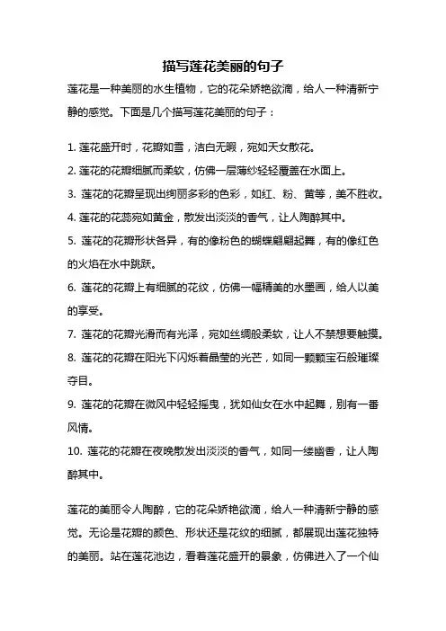 描写莲花美丽的句子