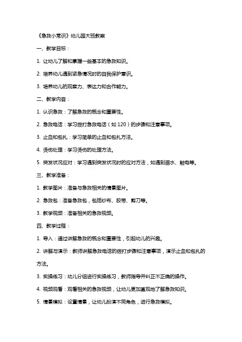 《急救小常识》幼儿园大班教案