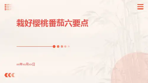 栽好樱桃番茄六要点