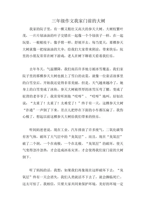 三年级作文我家门前的大树