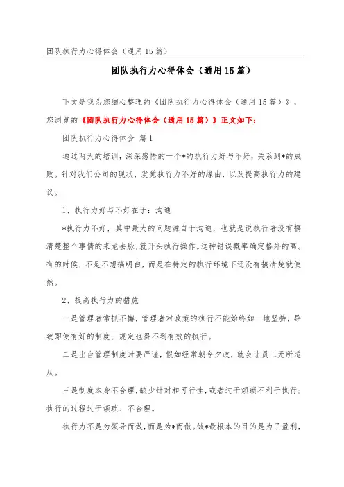 团队执行力心得体会(通用15篇)