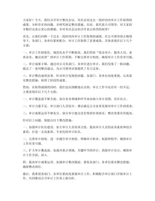 审计整改会议领导发言稿