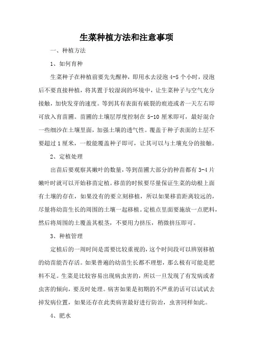 生菜种植方法和注意事项
