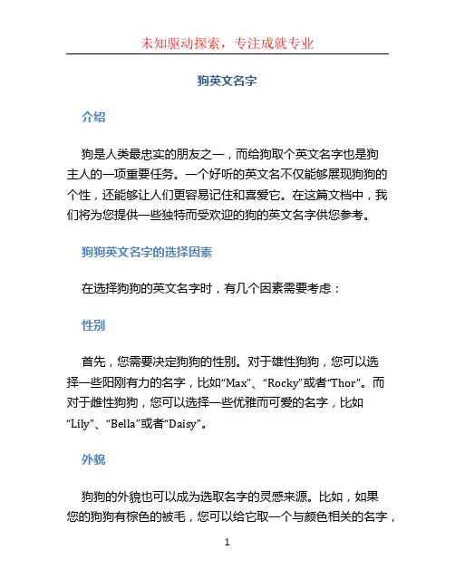 狗英文名字