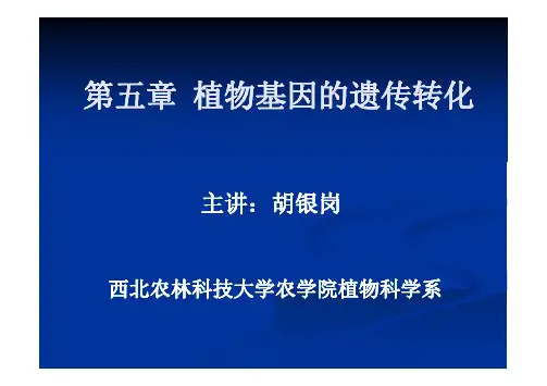 第五章  植物基因的遗传转化