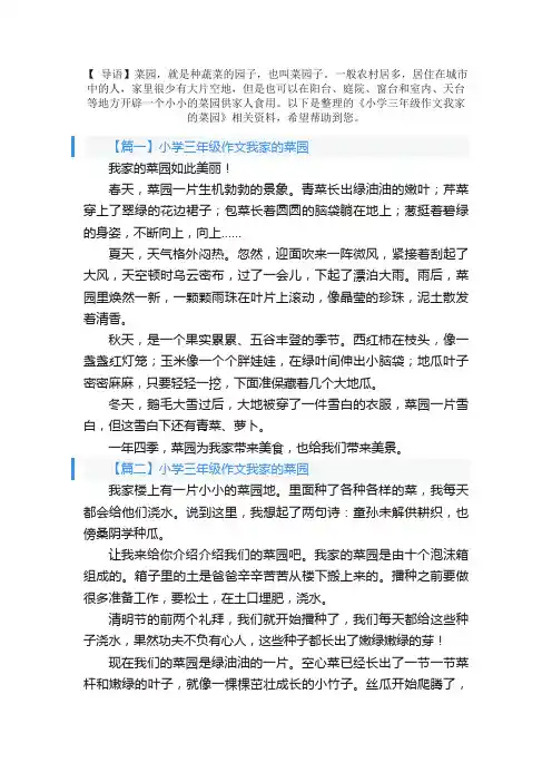 小学三年级作文我家的菜园