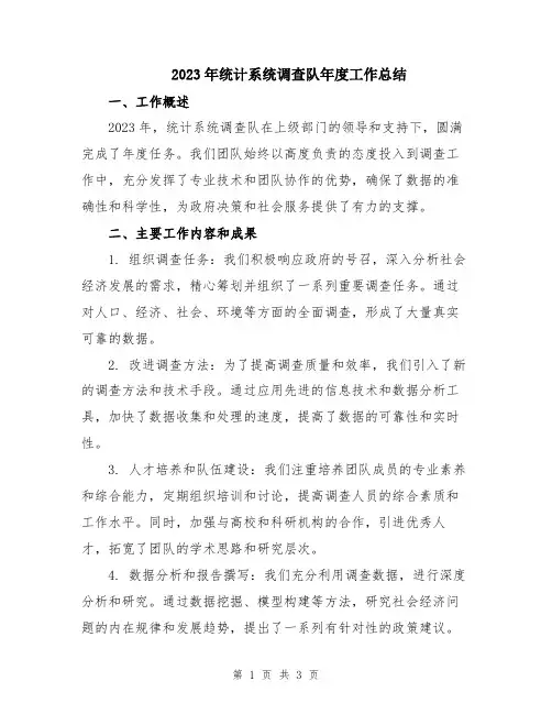 2023年统计系统调查队年度工作总结