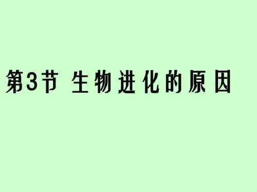 人教版八年级生物下册课件：第7单元 第3章 第3节 生物进化的原因  课件(共20张PPT)