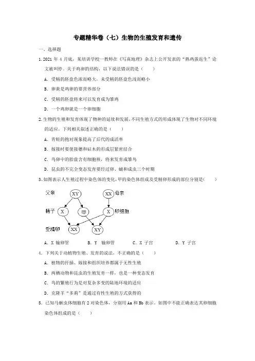 2023年生物中考一轮复习专题精华卷(七)生物的生殖发育和遗传