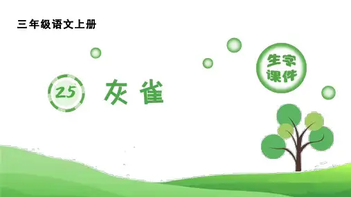 部编版小学语文三年级上册 第八单元 《25.灰雀》(生字课件)